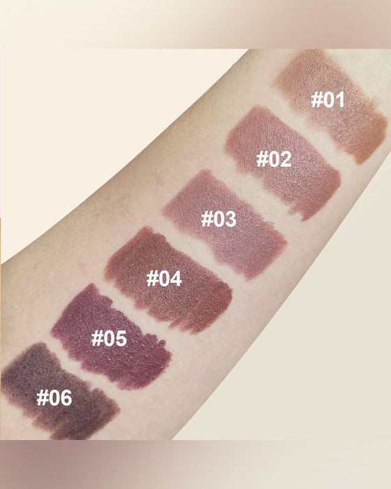 Velvet Matte Silk Texture High Pigment Lipstick