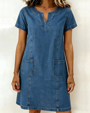 Small V-Neck Denim Shift Dress