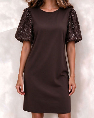 Puff Sequined Sleeve A-Line Dress