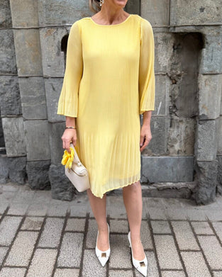 Women's Elegant Pleated  Dress