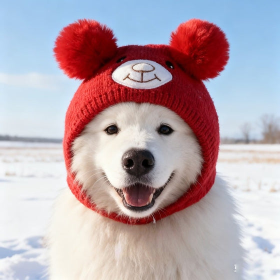 Large Dog Knitted Ear Scarf and Hat Set