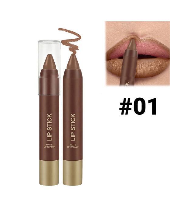 Velvet Matte Silk Texture High Pigment Lipstick